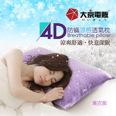 日本【大京電販】4D防蹣涼感枕-超值2入組 (透氣/纖維棉枕/子母枕/可水洗/彈力高支撐/冰涼絲/天絲枕/舒柔眠/可機洗)(app)
